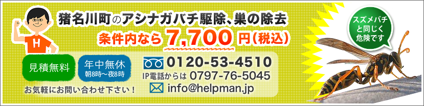 猪名川町のアシナガバチ駆除、巣の除去。安心価格でお受けいたします！